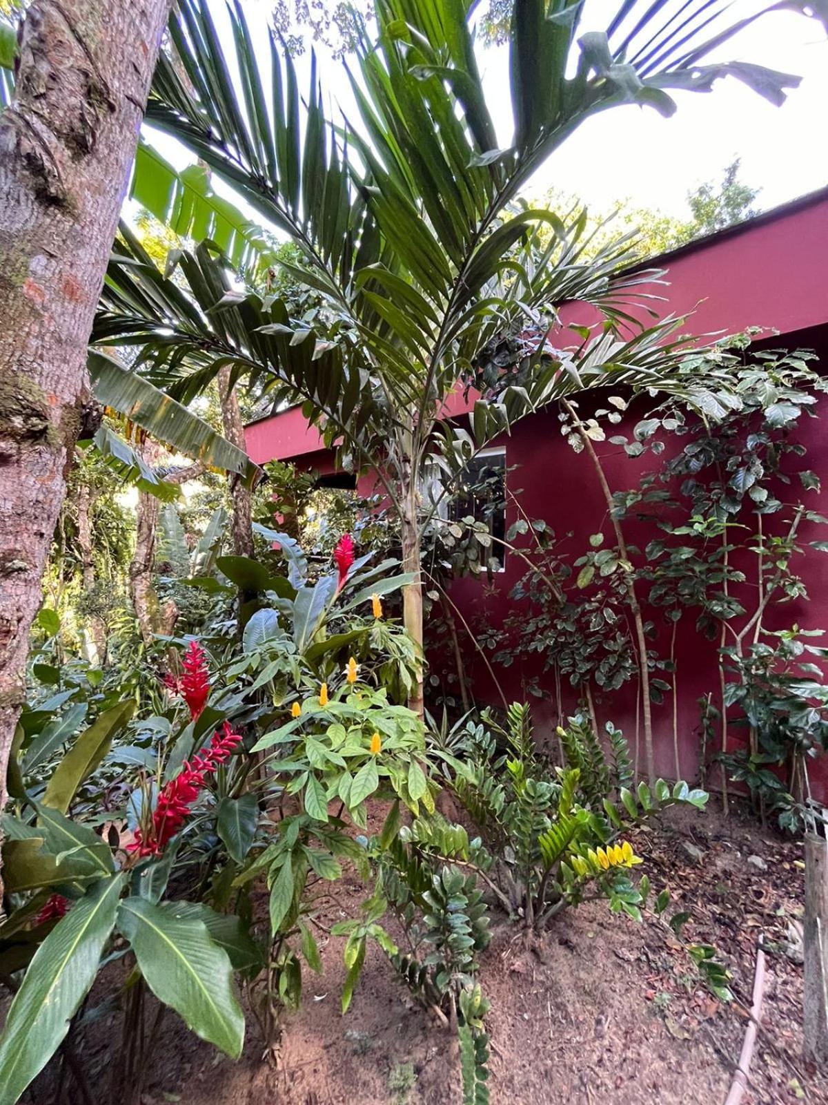 Jardim Botanico Casa Rossa Bungalows & Apartments Morro de São Paulo Eksteriør bilde