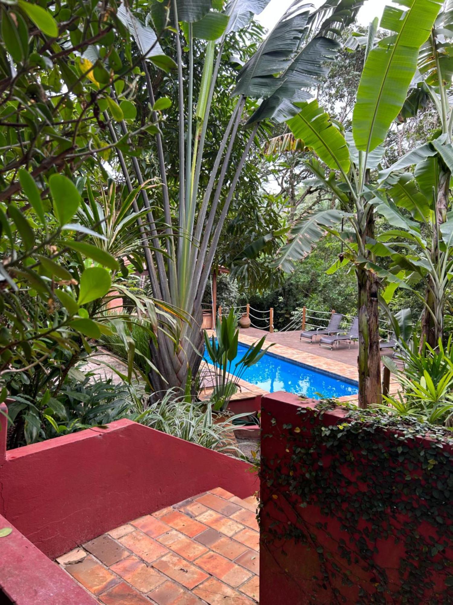 Jardim Botanico Casa Rossa Bungalows & Apartments Morro de São Paulo Eksteriør bilde