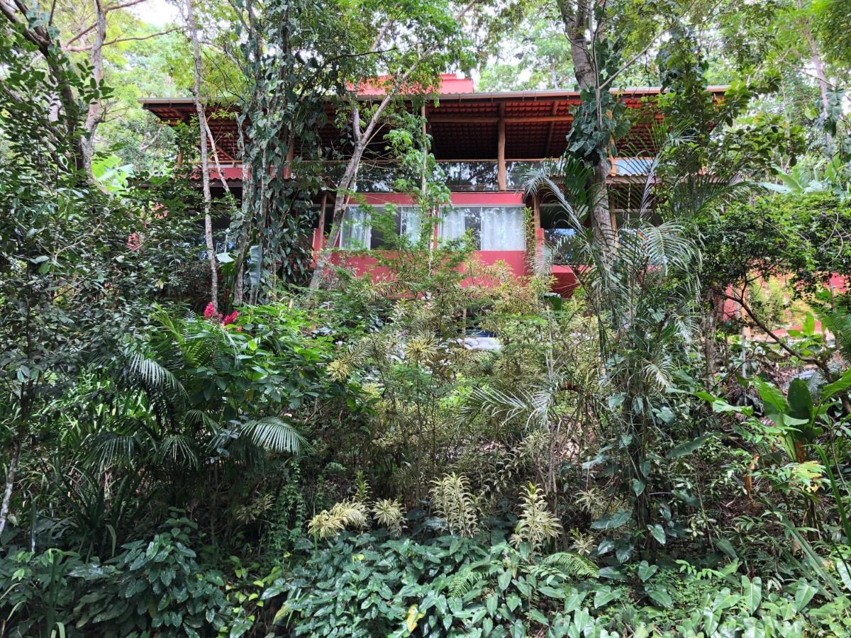 Jardim Botanico Casa Rossa Bungalows & Apartments Morro de São Paulo Eksteriør bilde